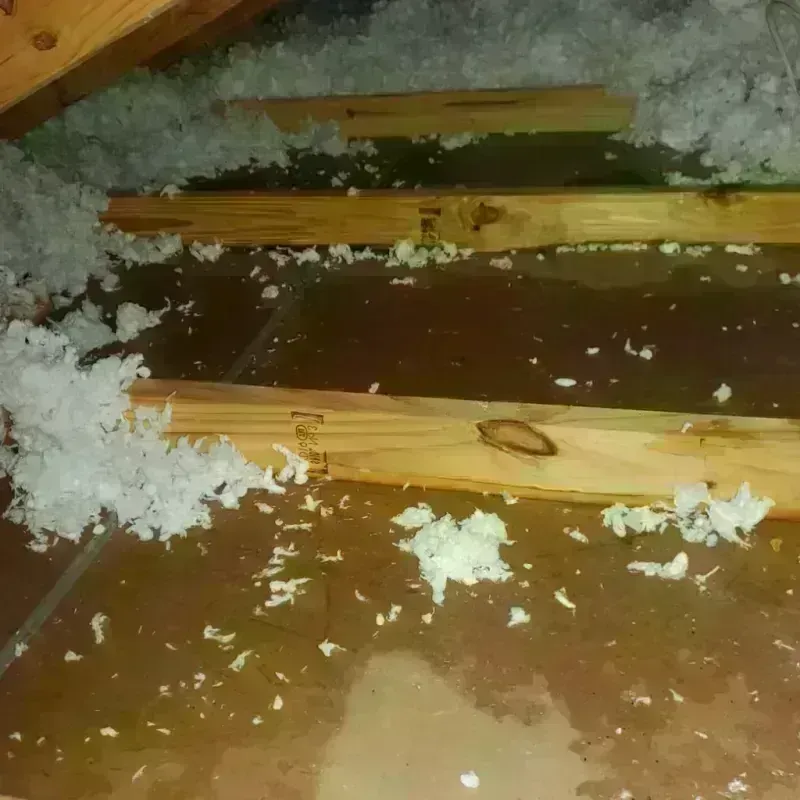 Attic Water Damage in Mims, FL