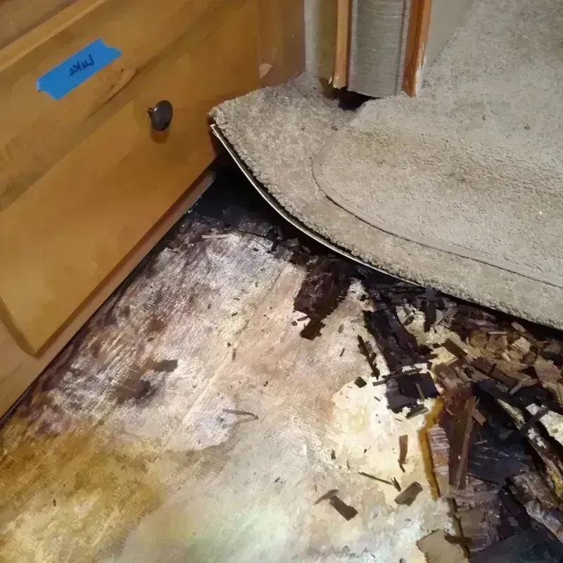 Wood Floor Water Damage in Mims, FL